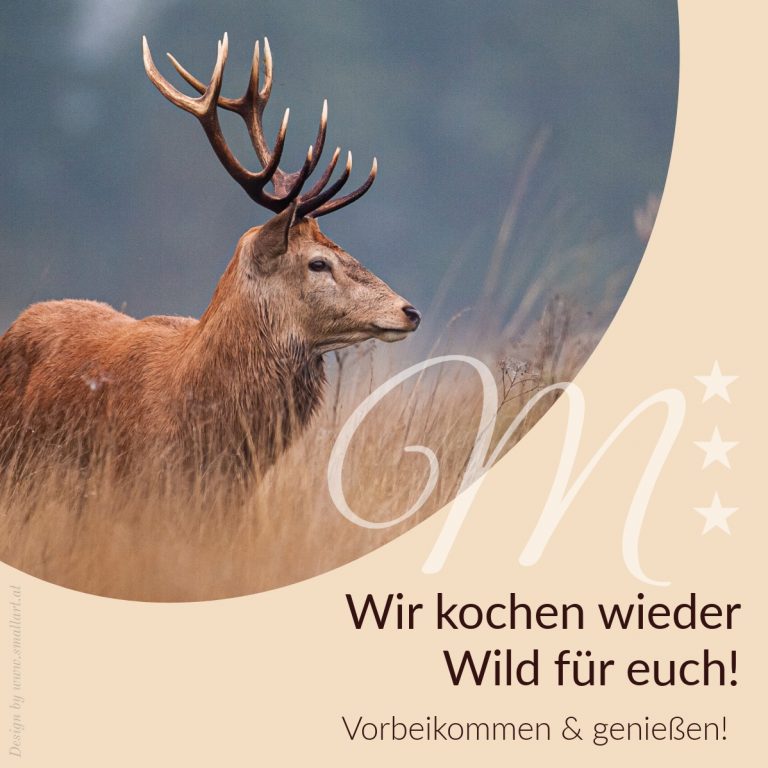 hirsch